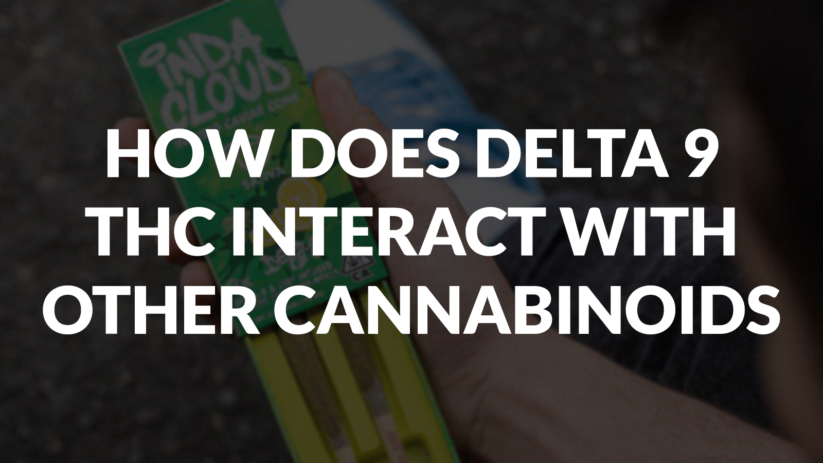 HOW DOES DELTA 9 THC INTERACT WITH OTHER CANNABINOIDS?