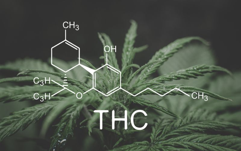 THCA vs THC: Discover the True Difference Between These 2 Cannabis Cannabinoids 3 THC structure
