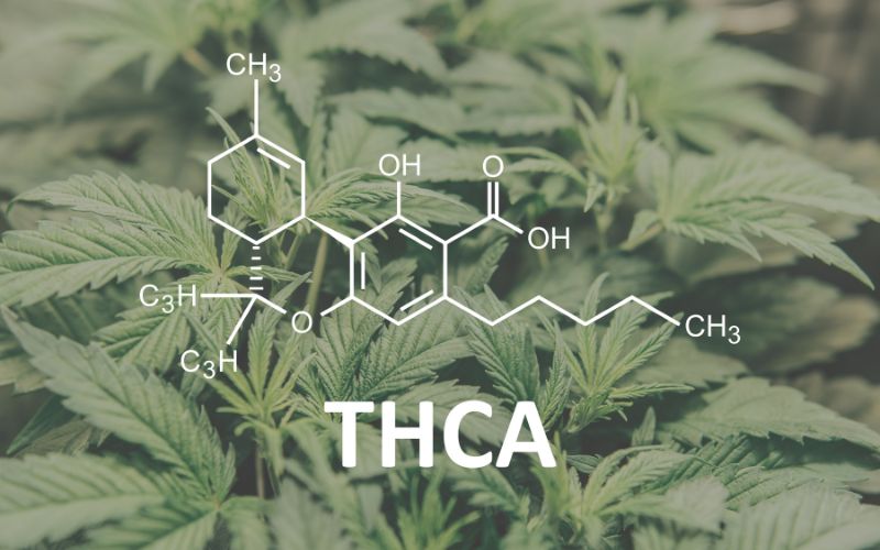 THCA vs THC: Discover the True Difference Between These 2 Cannabis Cannabinoids 2 THCA structure