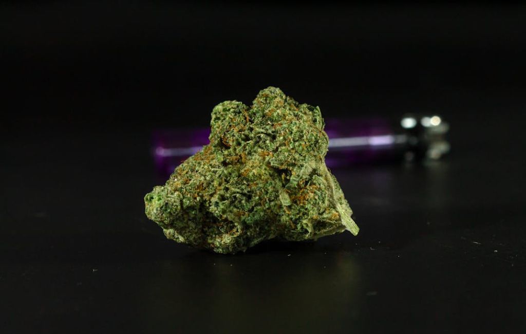 forbidden fruit strain